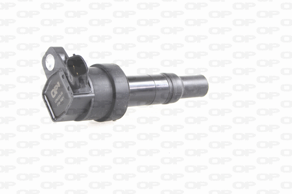 Ignition Coil (IGN1034.00)