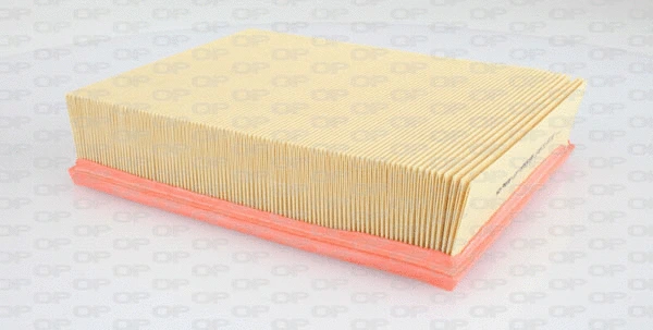 Air Filter (EAF3210.10)