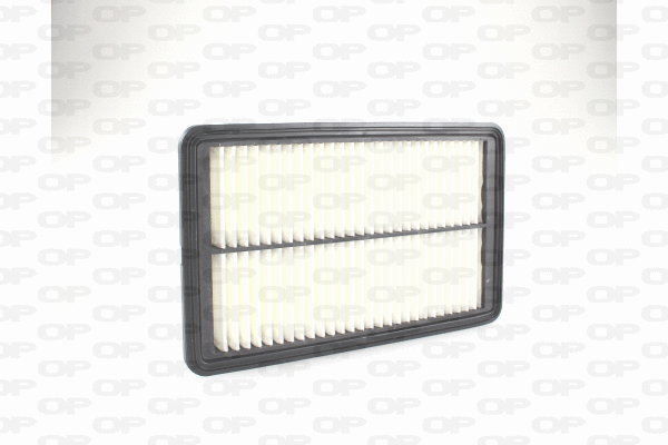 Air Filter (EAF3734.10)