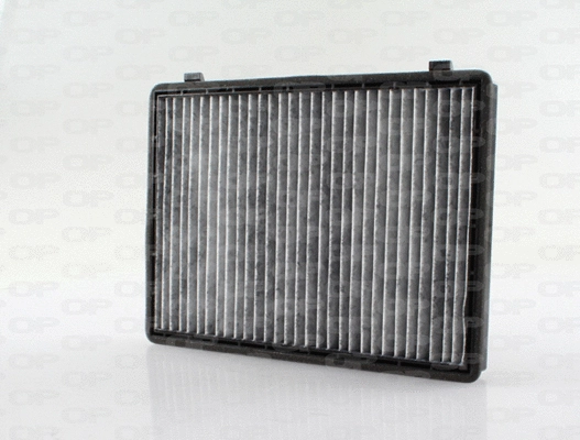 Filter, cabin air (CAF2204.11)