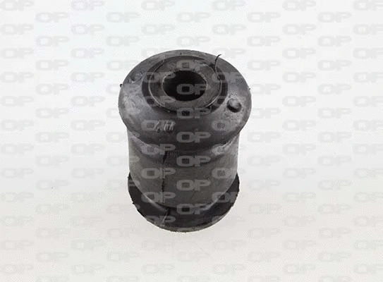Mounting, control/trailing arm (SSS1176.11)