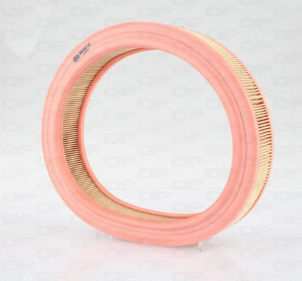 Air Filter (EAF3577.20)