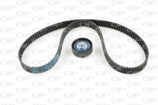 Timing Belt Kit (TBK5007.01)