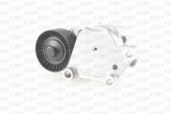 Belt Tensioner, V-ribbed belt (ACT2051.00)