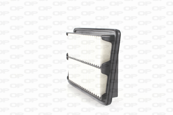 Air Filter (EAF3724.10)