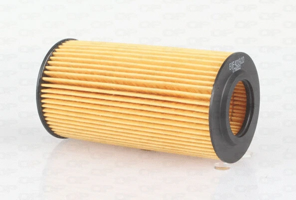 Oil Filter (EOF4219.10)