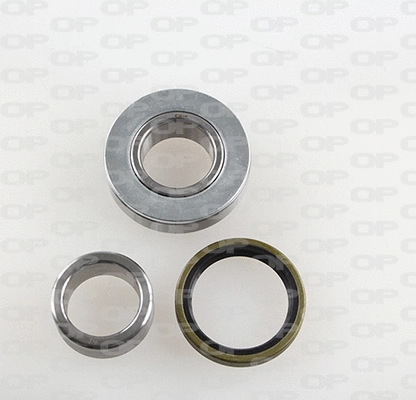 Wheel Bearing Kit (HBK5116.00)