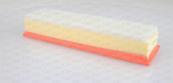 Air Filter (EAF3234.10)