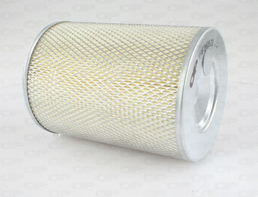 Air Filter (EAF3409.20)