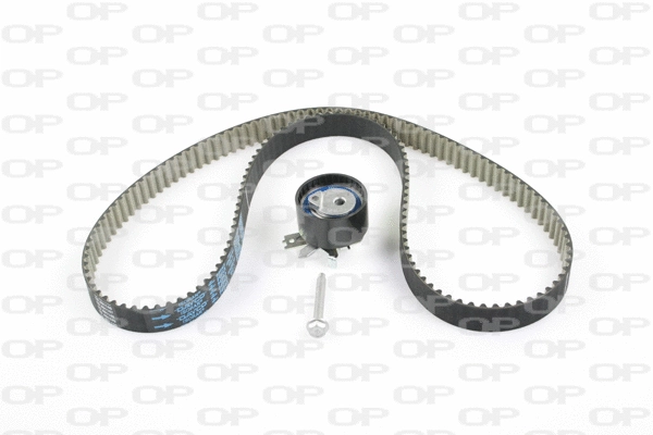 Timing Belt Kit (TBK5066.11)