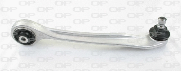 Control/Trailing Arm, wheel suspension (SSW1009.01)
