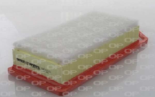 Air Filter (EAF3103.10)