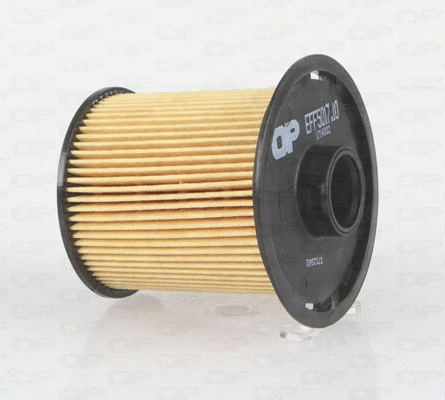 Fuel Filter (EFF5017.10)