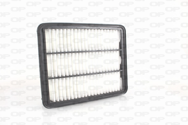 Air Filter (EAF3736.10)
