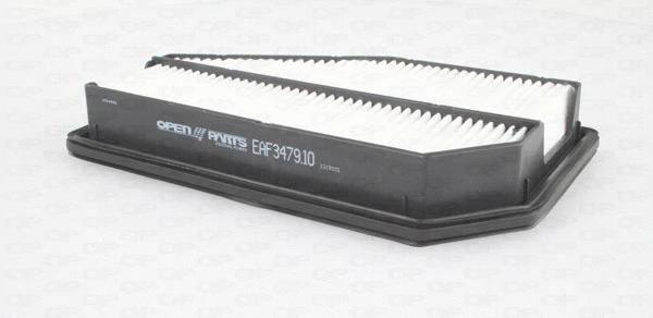 Air Filter (EAF3479.10)