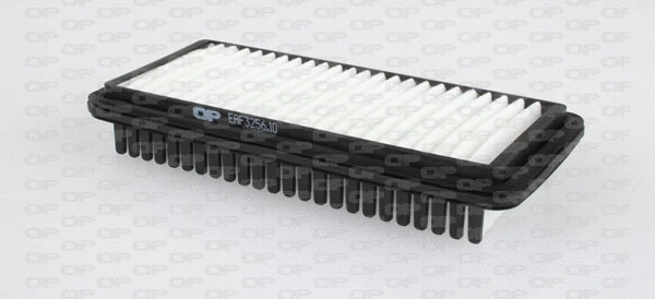 Air Filter (EAF3256.10)
