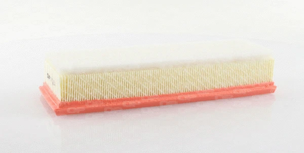 Air Filter (EAF3015.10)