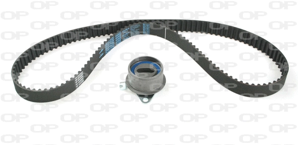 Timing Belt Kit (TBK5139.01)