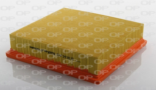 Air Filter (EAF3438.10)