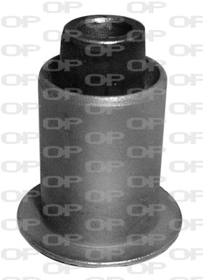 Mounting, control/trailing arm (SSS1063.11)