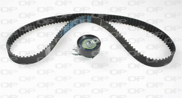Timing Belt Kit (TBK5113.01)