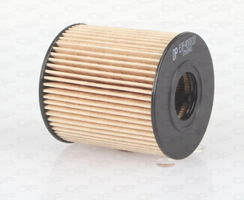 Oil Filter (EOF4008.10)