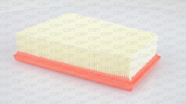 Air Filter (EAF3051.10)