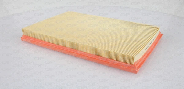 Air Filter (EAF3354.10)