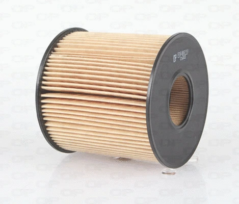 Oil Filter (EOF4061.10)