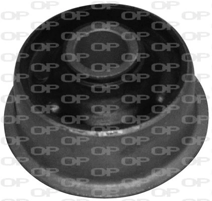 Mounting, control/trailing arm (SSS1014.11)