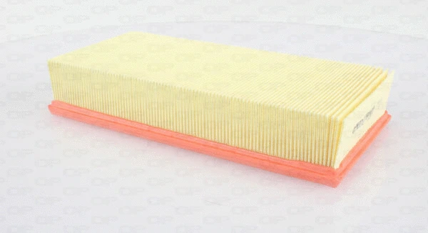 Air Filter (EAF3556.10)