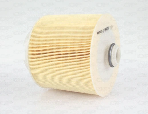 Air Filter (EAF3589.20)