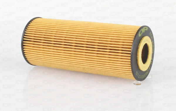 Oil Filter (EOF4006.10)