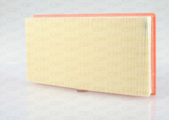 Air Filter (EAF3560.10)