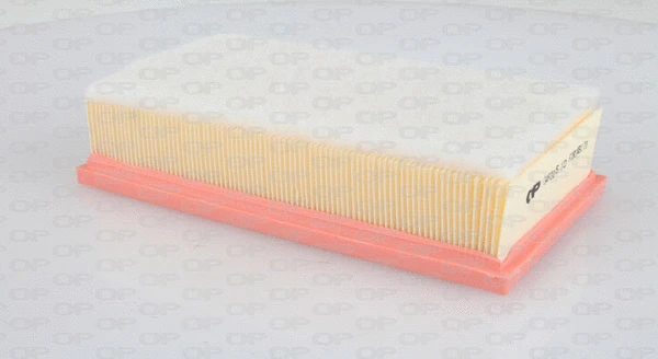 Air Filter (EAF3105.10)