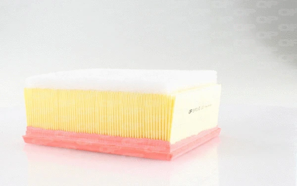 Air Filter (EAF3190.10)