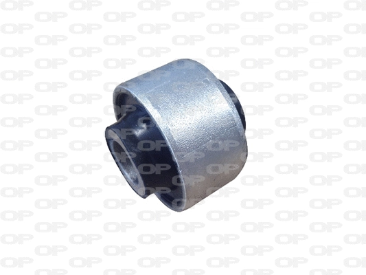Mounting, control/trailing arm (SSS1230.11)