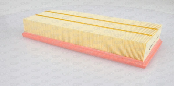 Air Filter (EAF3049.10)