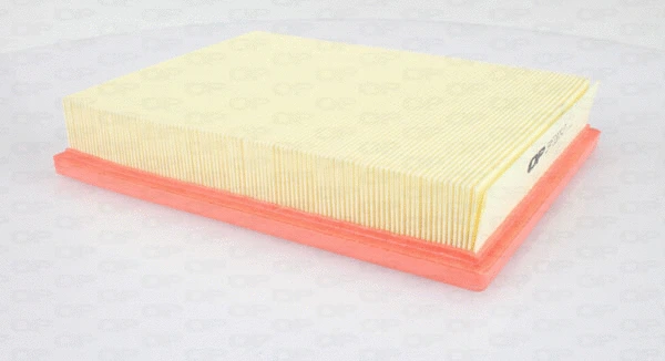Air Filter (EAF3376.10)