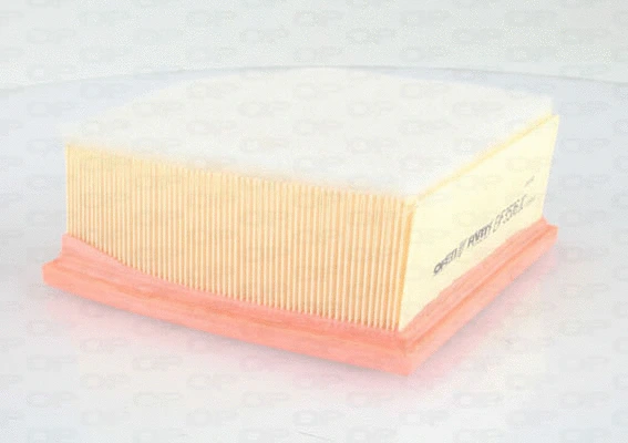 Air Filter (EAF3506.10)