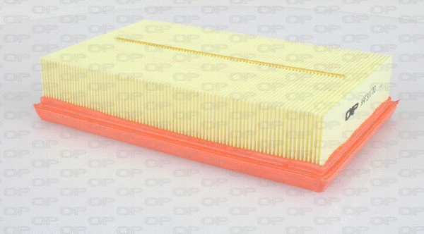 Air Filter (EAF3017.10)
