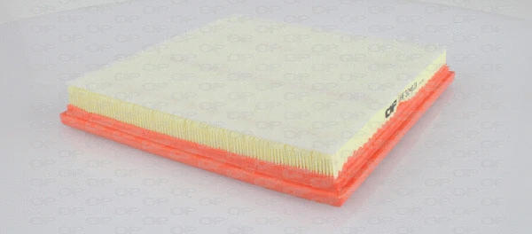 Air Filter (EAF3246.10)