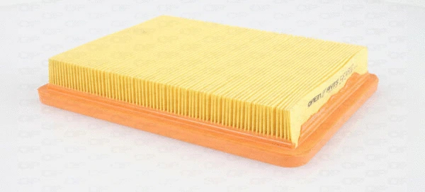 Air Filter (EAF3454.10)
