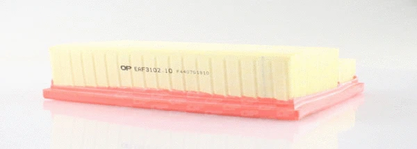 Air Filter (EAF3102.10)