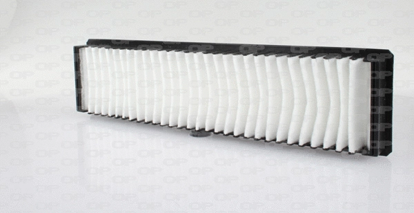 Filter, cabin air (CAF2096.01)