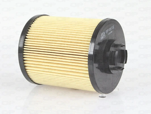 Oil Filter (EOF4167.10)
