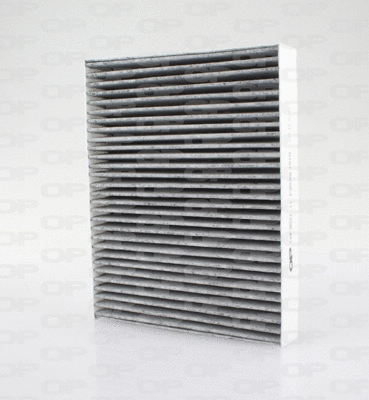 Filter, cabin air (CAF2021.11)