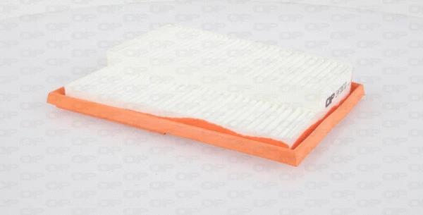 Air Filter (EAF3387.10)