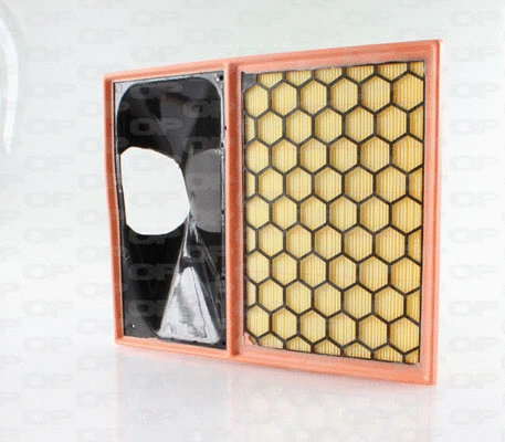 Air Filter (EAF3675.10)