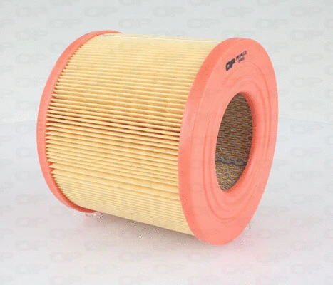 Air Filter (EAF3403.20)